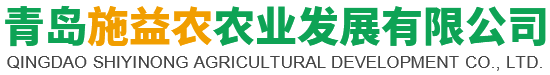 撫順眾聯(lián)網(wǎng)絡(luò)Logo
