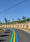 蘇州道路劃線反光漆多少錢一個(gè)平方？